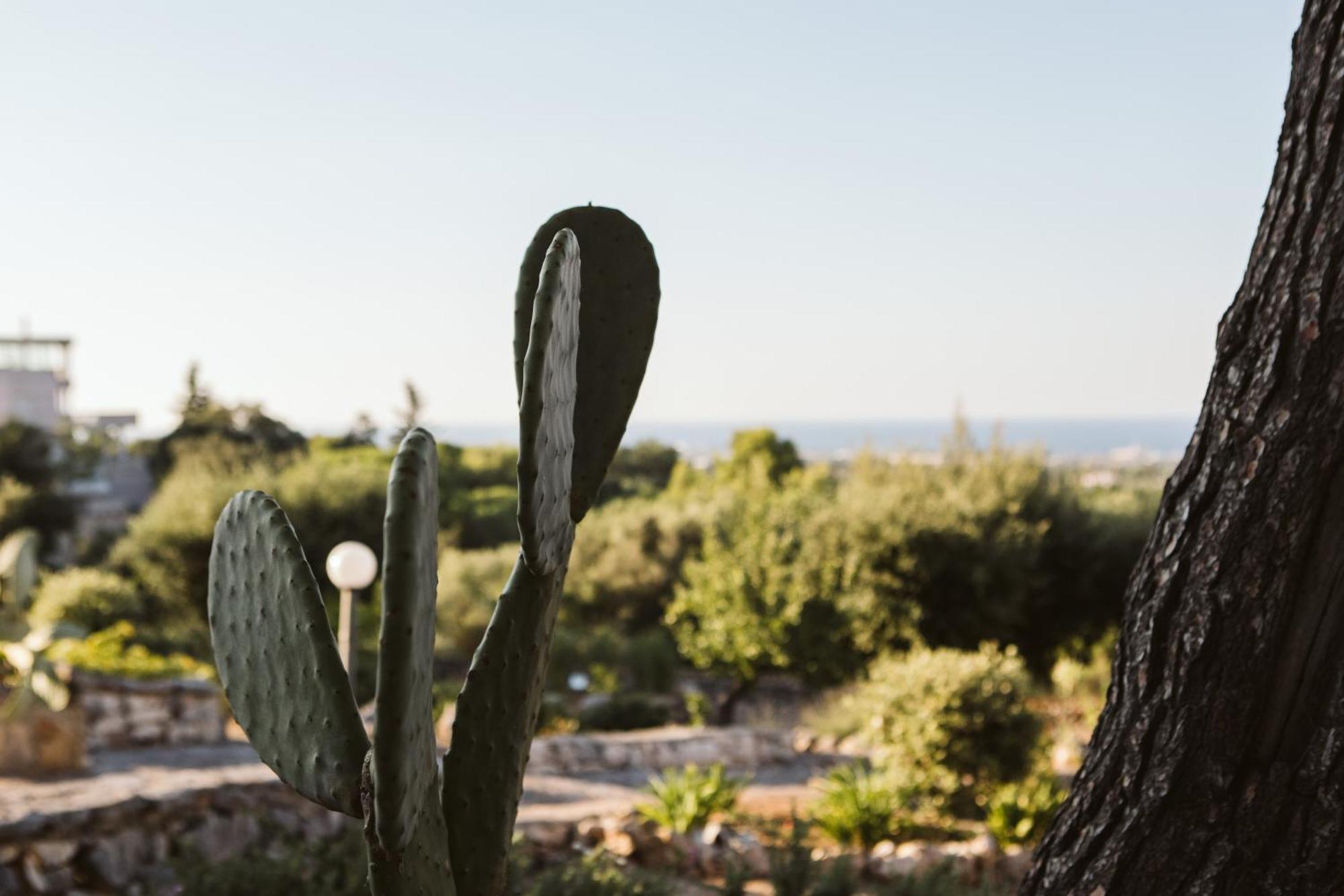 Monte Simeone Bed and Breakfast Polignano a Mare Exterior foto